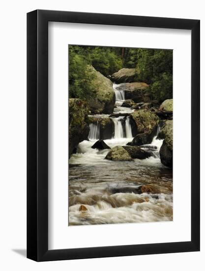 Copeland Falls, Rocky Mountain National Park, Colorado, USA-Michel Hersen-Framed Photographic Print