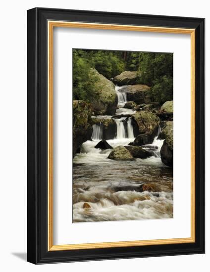 Copeland Falls, Rocky Mountain National Park, Colorado, USA-Michel Hersen-Framed Photographic Print