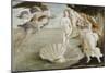 Copie d'après Botticelli : Naissance de Vénus (Offices, Florence)-Sandro Botticelli-Mounted Giclee Print