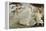 Copie d'après Botticelli : Naissance de Vénus (Offices, Florence)-Sandro Botticelli-Framed Premier Image Canvas
