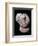 Copper age pottery head. Artist: Unknown-Unknown-Framed Giclee Print