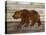 Copper Bear-Mark Chandon-Framed Stretched Canvas