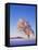 Copper Beech, Fagus Sylvatica, Snow-Covered, Morning Light, Leafless-Herbert Kehrer-Framed Premier Image Canvas