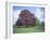 Copper Beech Tree, Croft Castle, Herefordshire, England, United Kingdom-David Hunter-Framed Photographic Print