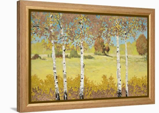 Copper Birch-Arnie Fisk-Framed Stretched Canvas
