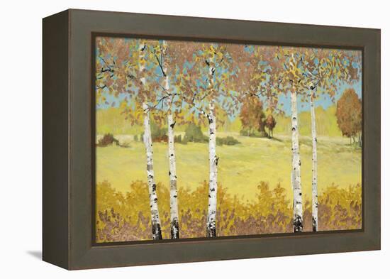 Copper Birch-Arnie Fisk-Framed Stretched Canvas