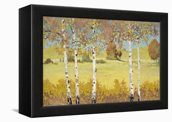 Copper Birch-Arnie Fisk-Framed Stretched Canvas