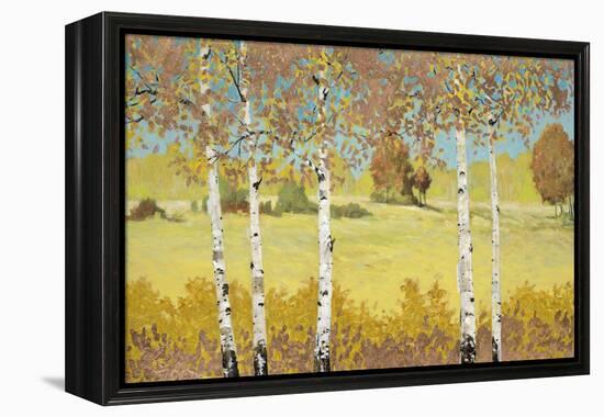 Copper Birch-Arnie Fisk-Framed Stretched Canvas