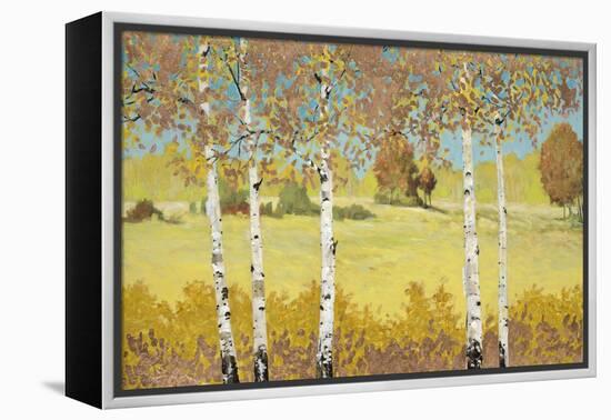 Copper Birch-Arnie Fisk-Framed Stretched Canvas