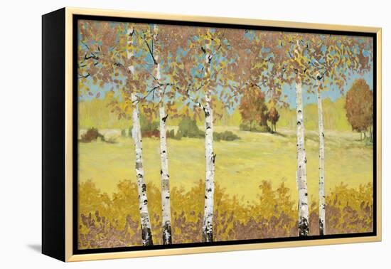 Copper Birch-Arnie Fisk-Framed Stretched Canvas