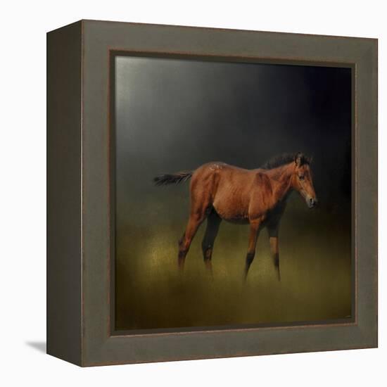 Copper Colt in the Moon Light-Jai Johnson-Framed Premier Image Canvas