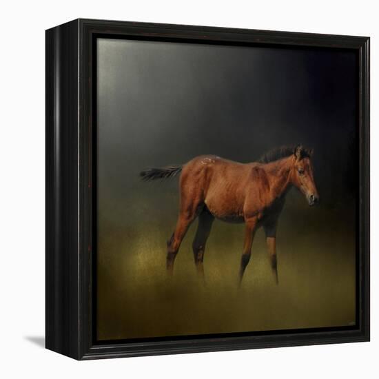 Copper Colt in the Moon Light-Jai Johnson-Framed Premier Image Canvas