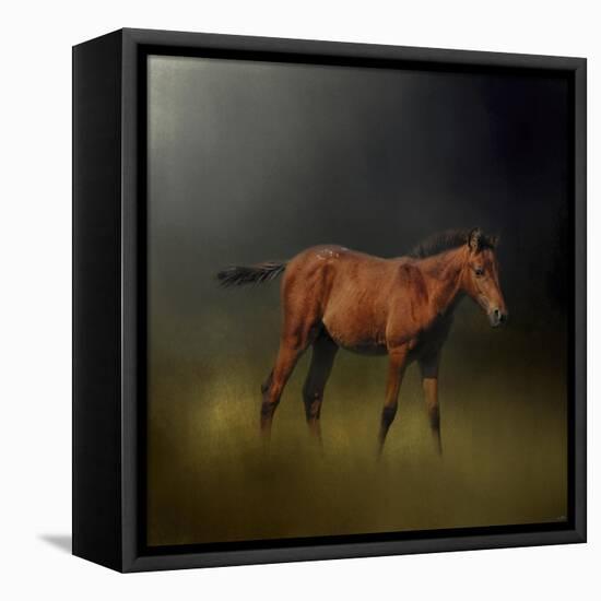 Copper Colt in the Moon Light-Jai Johnson-Framed Premier Image Canvas