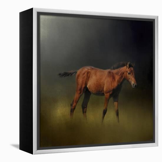 Copper Colt in the Moon Light-Jai Johnson-Framed Premier Image Canvas