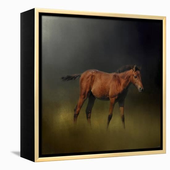 Copper Colt in the Moon Light-Jai Johnson-Framed Premier Image Canvas