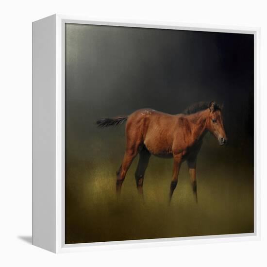 Copper Colt in the Moon Light-Jai Johnson-Framed Premier Image Canvas