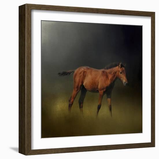 Copper Colt in the Moon Light-Jai Johnson-Framed Giclee Print