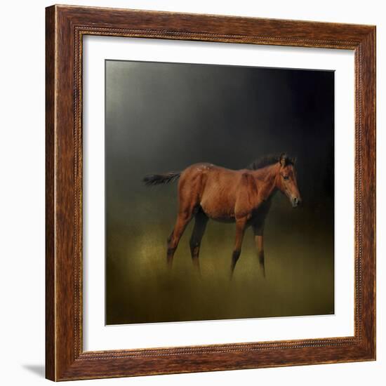 Copper Colt in the Moon Light-Jai Johnson-Framed Giclee Print