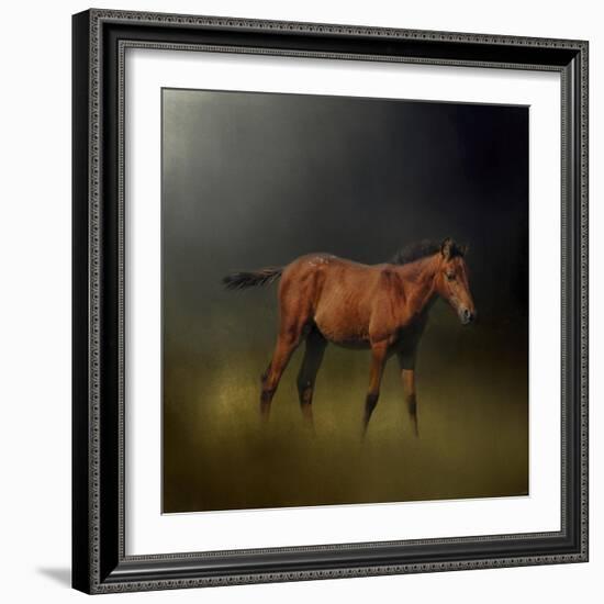 Copper Colt in the Moon Light-Jai Johnson-Framed Giclee Print