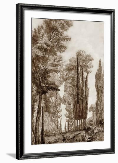 Copper Coppice-Tania Bello-Framed Giclee Print