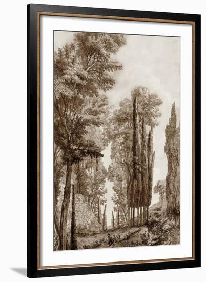 Copper Coppice-Tania Bello-Framed Giclee Print