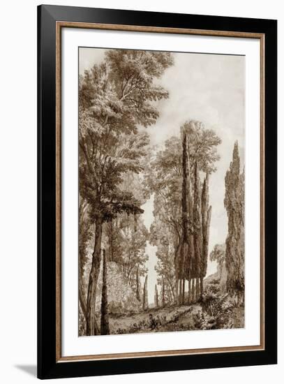 Copper Coppice-Tania Bello-Framed Giclee Print