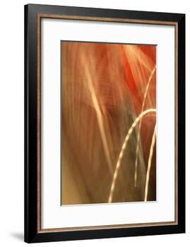 Copper Curves I-Karyn Millet-Framed Photographic Print