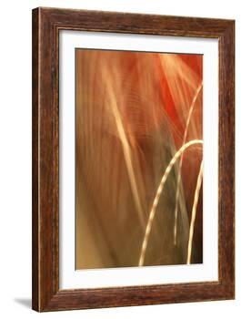 Copper Curves I-Karyn Millet-Framed Photographic Print