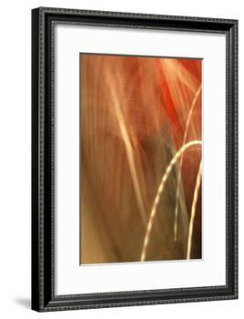 Copper Curves I-Karyn Millet-Framed Photographic Print