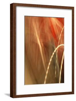 Copper Curves I-Karyn Millet-Framed Photographic Print