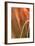 Copper Curves I-Karyn Millet-Framed Photographic Print