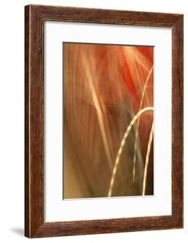 Copper Curves I-Karyn Millet-Framed Photographic Print