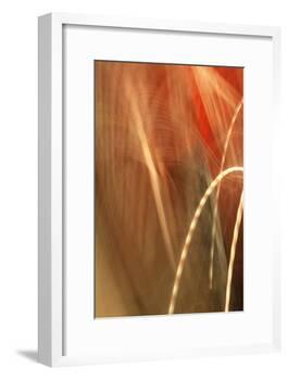 Copper Curves I-Karyn Millet-Framed Photographic Print