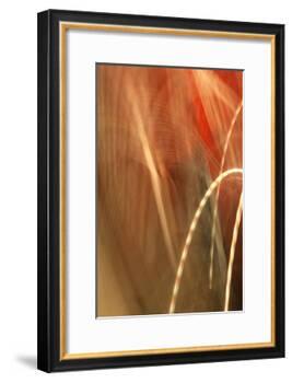 Copper Curves I-Karyn Millet-Framed Photographic Print