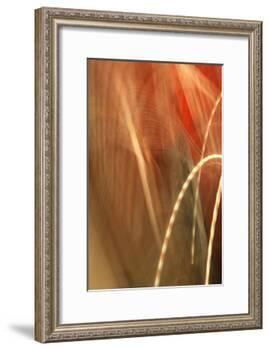 Copper Curves I-Karyn Millet-Framed Photographic Print