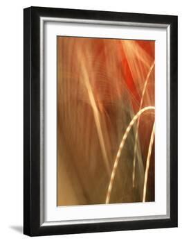 Copper Curves I-Karyn Millet-Framed Photographic Print