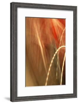 Copper Curves I-Karyn Millet-Framed Photographic Print