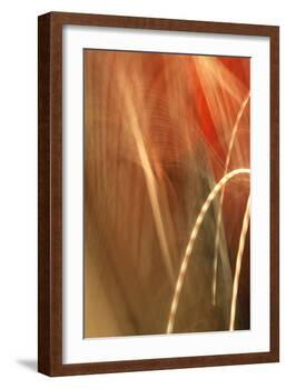 Copper Curves I-Karyn Millet-Framed Photographic Print