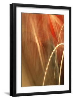 Copper Curves I-Karyn Millet-Framed Photographic Print