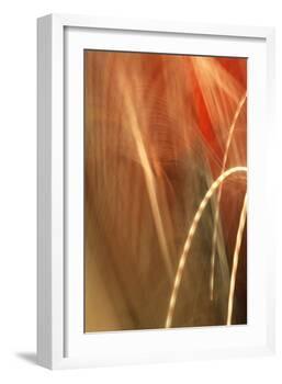 Copper Curves I-Karyn Millet-Framed Photographic Print