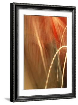Copper Curves I-Karyn Millet-Framed Photographic Print