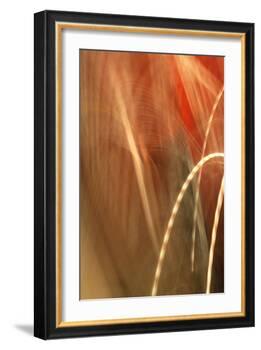 Copper Curves I-Karyn Millet-Framed Photographic Print