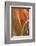 Copper Curves I-Karyn Millet-Framed Photographic Print