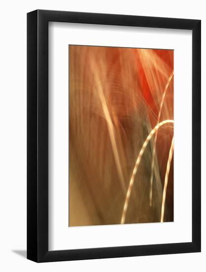 Copper Curves I-Karyn Millet-Framed Photographic Print