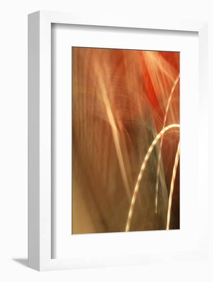 Copper Curves I-Karyn Millet-Framed Photographic Print