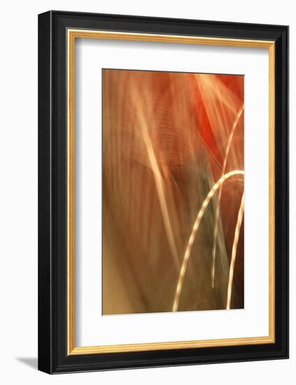 Copper Curves I-Karyn Millet-Framed Photographic Print