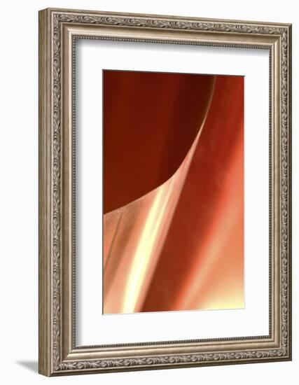 Copper Curves II-Karyn Millet-Framed Photographic Print