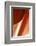 Copper Curves II-Karyn Millet-Framed Photographic Print