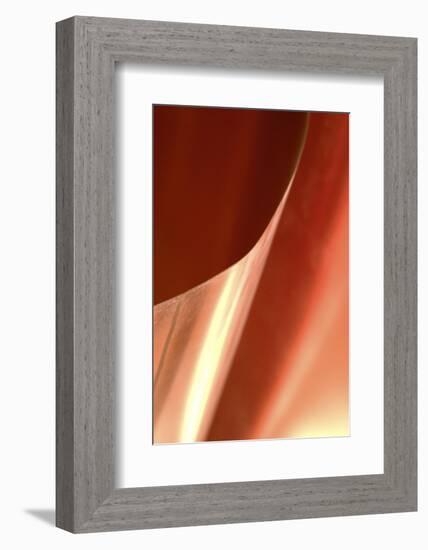 Copper Curves II-Karyn Millet-Framed Photographic Print