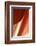 Copper Curves II-Karyn Millet-Framed Photographic Print